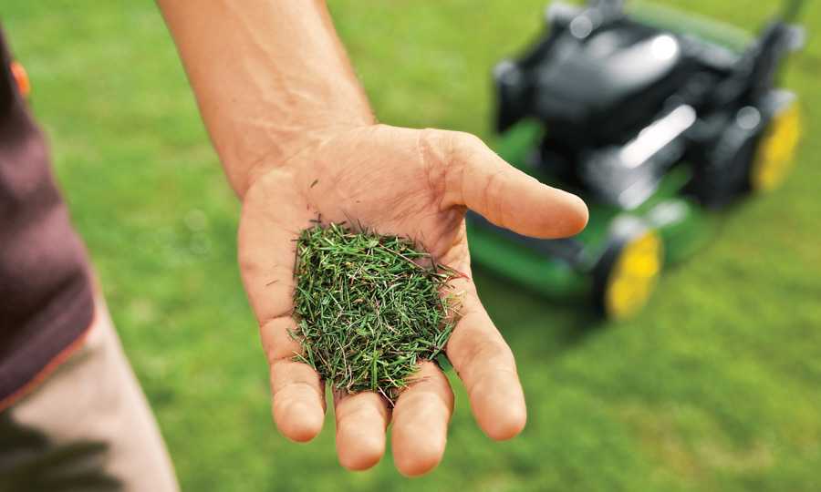 Man holding grass clippings in his palm
