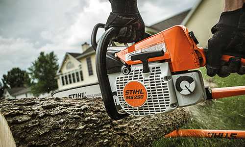 STIHL MS 250 Chainsaw